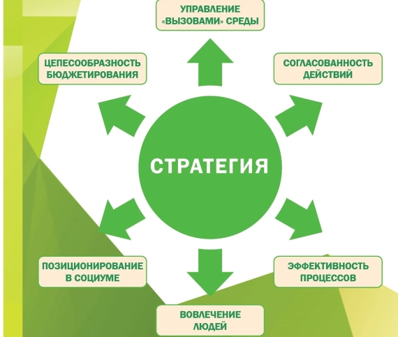 Стратегия ВОИ