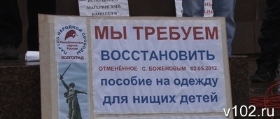 Митинг мам в Волгограде: Чиновники и депутаты отнимают у наших детей будущее