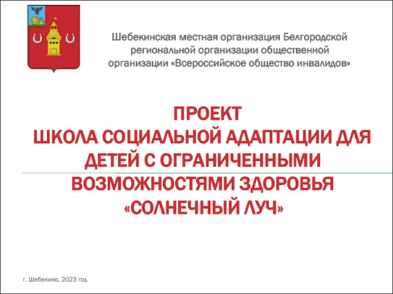 Проект «Школа социальной адаптации для детей с ограниченными возможностями здоровья «Солнечный луч»